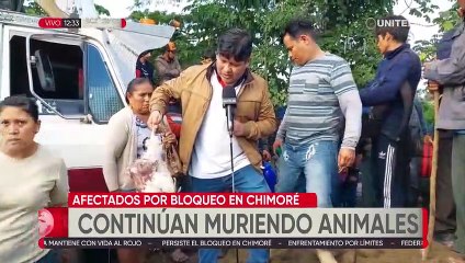 Bloqueo en Chimoré provoca pérdida de animales, vacunas y una gran afectación a la economía