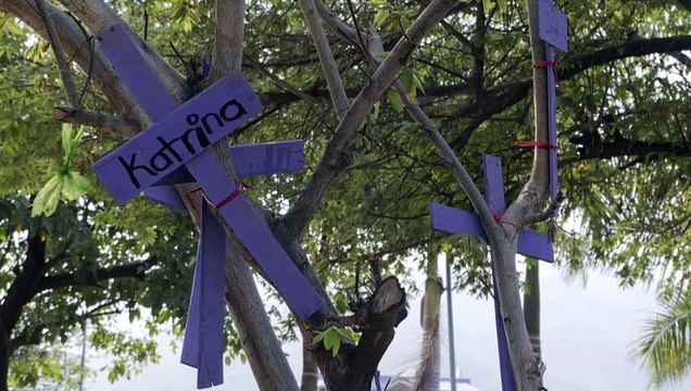 Critican feministas disculpa pública de Michel | CPS Noticias Puerto Vallarta