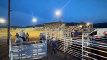 Horse Trips and Sends Cowboy Flying at Rodeo