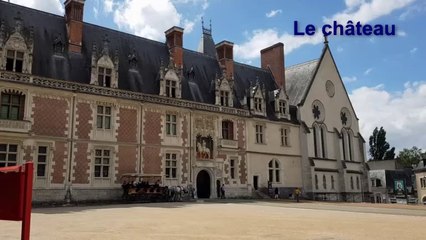 La France 2021. Blois ville royale.
