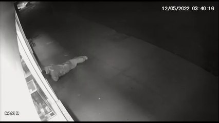 Ladrão ou morador de rua: Homem finge estar dormindo em frente à empresa para tentar realizar furto