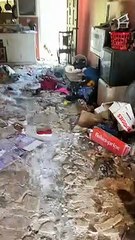 FAMILIA PIERDE SU HOGAR POR INCENDIO