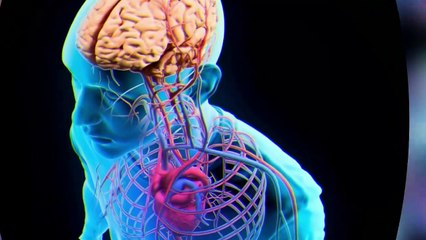 TRES JUGOS QUE TE SERVIRÁN PARA BAJAR LA GLUCOSA EN LA SANGRE