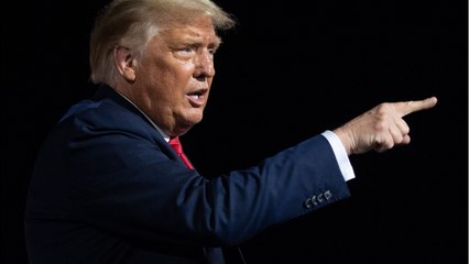 GALA VIDÉO - Donald Trump de retour en politique ? Pourquoi Elon Musk pourrait jouer un rôle important