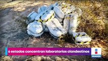 Seis estados de México concentran el mayor número de laboratorios para elaborar fentanilo