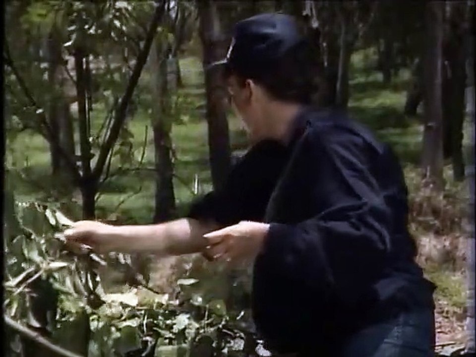 Rosa salvaje capitulo 104