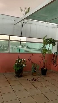 Moradores de Águas Claras registram chuvisco no fim da tarde desta quinta feira