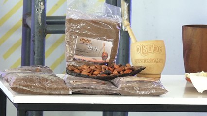 Anuncian feria nacional del cacao para este fin de semana