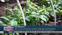 Gobierno de Nicaragua fortalece sector productivo con laboratorios agropecuarios