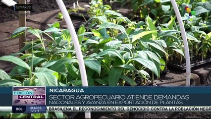 Edición Central 12-05: Gobierno de Cuba decreta duelo oficial por víctimas del hotel Saratoga