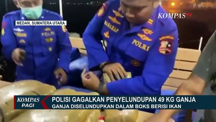 Ini Rekaman Detik-Detik Penggagalan Aksi Penyelundupan 49 Kg Ganja di Pelabuhan Belawan!