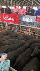 Leongatha store sale kicks off | May 13 | Stock & Land