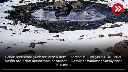 Sular çekilince yüzlercesi ortaya çıktı! 80 yıllık gizem çözülemiyor