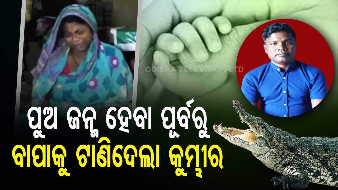 Special story | Crocodile Attack on rise in Kendrapara; Devoured body of missing man found in Aul