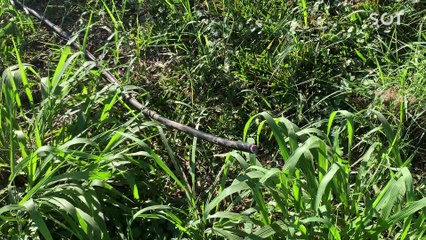 Fios de telefonia são furtados no Bairro Lago Azul em Cascavel