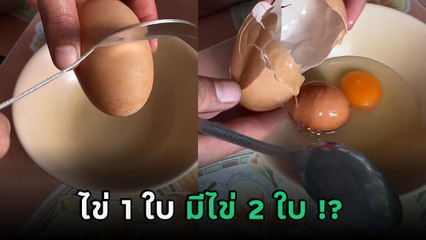 เกิดมาเพิ่งเคยเห็น ไข่ซ้อนไข่ ตอก 1 ฟองข้างในยังมีอีก 1 ฟอง เป็นไปได้ไง !?