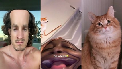 Funny TikToks That Made It About Drive, About Power, We Stay Hungry, We Devour