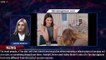 'The Kardashians': Kendall Jenner calls Hailey Bieber to bond over IV drips, fans dub it 'rich - 1br