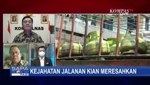 Hati-Hati! Kejahatan Jalanan Acak Kian Meresahkan, Pelaku Bahkan Tak Pilih-Pilih Sasarannya