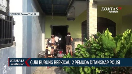 Curi Burung Berkicau Seharga 25 Juta, 2 Pemuda Ditangkap Polisi