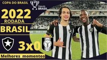 Melhores momentos Copa do Brasil 2022 Botafogo 3x0 Ceilandia