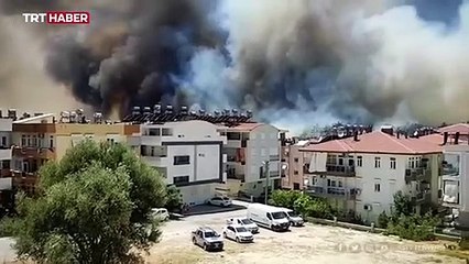 Türkiye ve Azerbaycan'dan orman yangını işbirliği hamlesi!