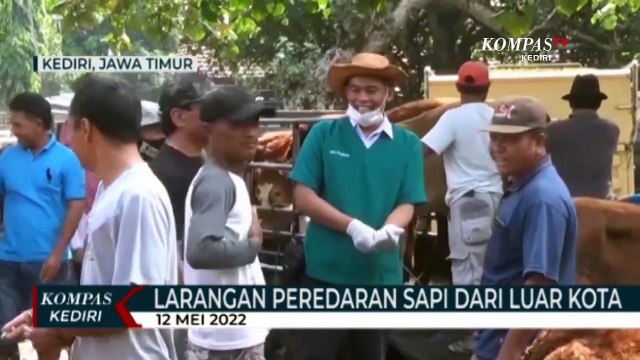 Dinas Peternakan Larang Peredaran Sapi dari Luar Kota Kediri