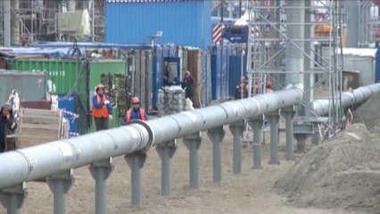 El Gobierno aprueba hoy la "excepción ibérica"