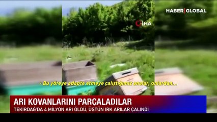 Arı kovanlarını parçaladılar: Kimyasal ilaç ithalatına son verecek projeydi, 4 milyon arı öldü!