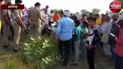 गोवंशों को लेकर योगी सरकार का अभियान फेल होते दिख रहा, जानें कैसे