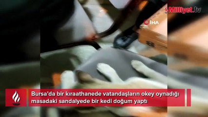 Yok böyle bir olay...Okey masasında doğum