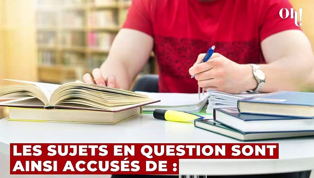 Accusés d'être "orientés à droite", les sujets du BAC SES font polémiques, les internautes stupéfaits