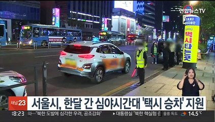 서울시, 한달 간 심야시간대 '택시 승차' 지원