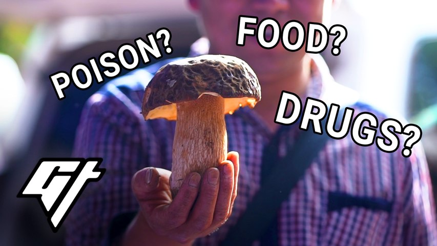 The Delicious, Dangerous, Poisonous World Of Wild Mushrooms In China