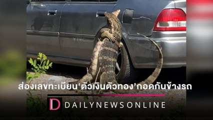 ชัดมาก! ‘คอหวย’แห่ส่องเลขทะเบียน หลัง ‘ตัวเงินตัวทอง’กอดกันข้างรถ | HOTSHOTเดลินิวส์ 13/05/65