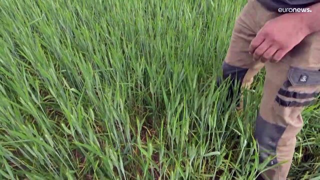 Dürre in Frankreich: Geht Landwirten im August das Wasser aus?
