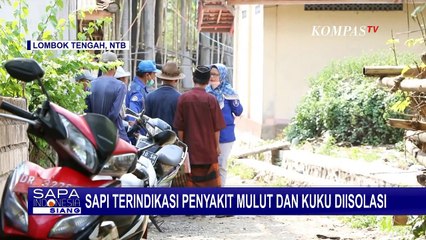 Tekan Penularan, Peternak Diimbau untuk Segera Isolasi Ternak yang Terjangkit Penyakit Mulut & Kuku!