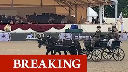 Lady Louise watched by Queen as she leads horse parade in Prince Philip's beloved carriage
