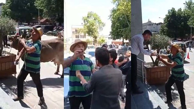 Ahırına yıkım kararı çıkan AKP'li çiftçi isyan etti