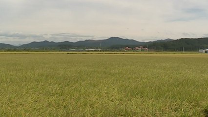 [경북] 경북, 청년 농부 농지임대료 지원사업 도입 / YTN