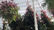 The hidden gems you may have missed at Liverpool’s Sefton Park Palm House