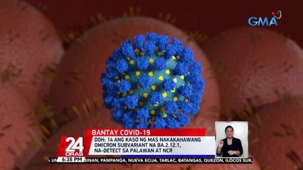 DOH: 14 ang kaso ng mas nakakahawang Omicron subvariant na BA.2.12.1, na-detect sa Palawan at NCR | 24 Oras