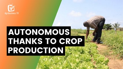 Benin: Autonomous thanks to crop production