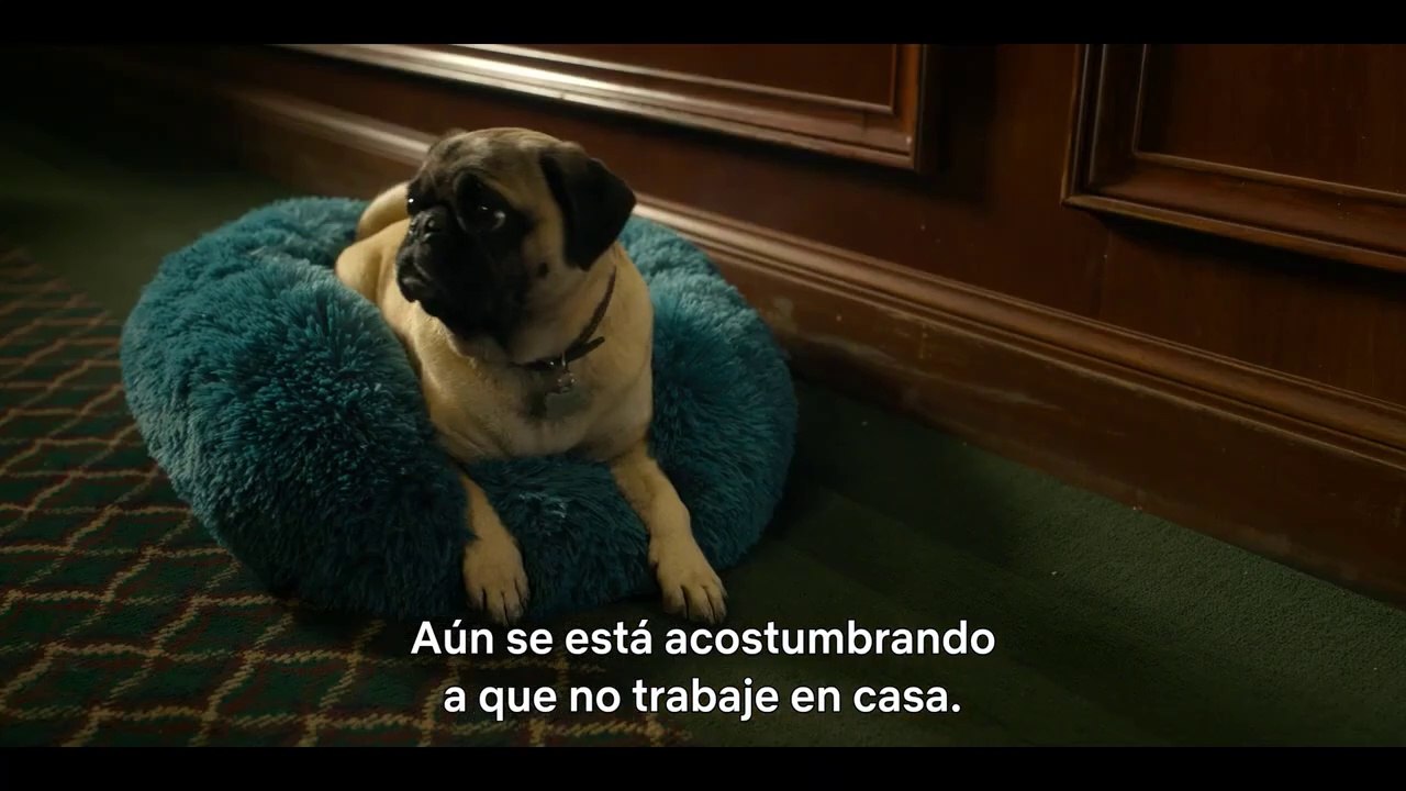 El abogado del Lincoln (EN ESPAÑOL) - Tráiler oficial © Netflix