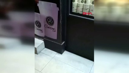 Günde binlerce kişiyi ağırlayan kafede rezalet! Fare poğaçaların arasında cirit attı