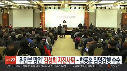'위안부 망언' 김성회 자진사퇴…한동훈 내주 임명강행 수순