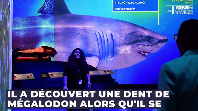 Archéologie : à 6 ans, ce petit garçon découvre une dent de requin datant de 20 millions d'années !