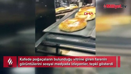 Fırında mide bulandıran görüntü! İnceleme başlatıldı
