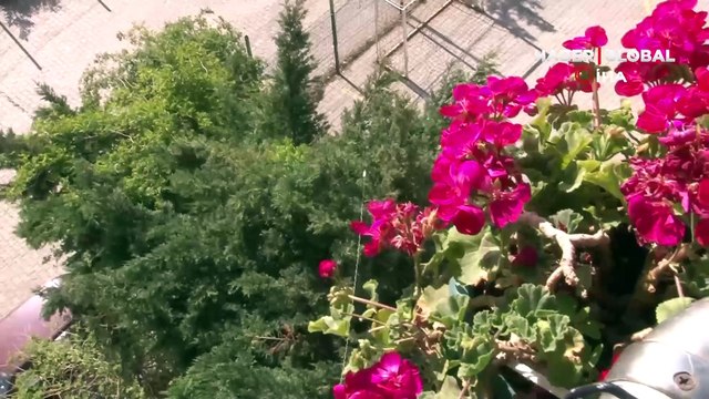 Teleferik sistemi herkesi şaşkına çevirdi: Kargaları bu yöntem ile besliyor