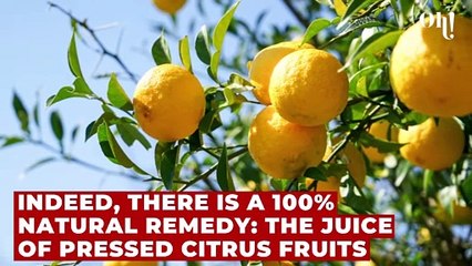 Pollen allergies: This food that everyone has in their kitchen works miracles against hay fever